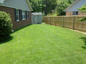 Yard after our sod laying services